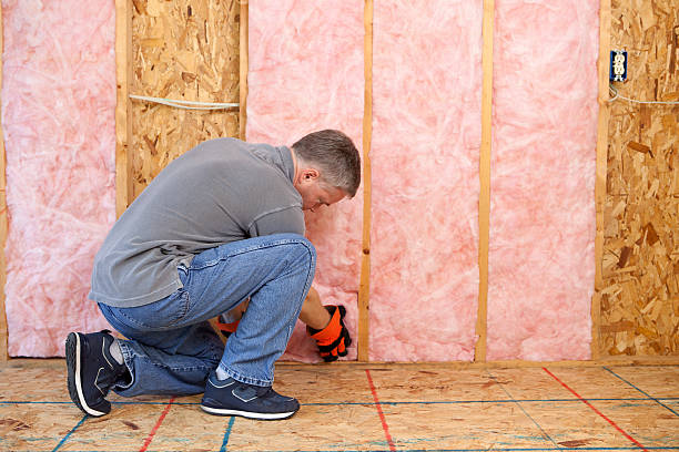 Best Specialized Insulation Services in Kahoka, MO